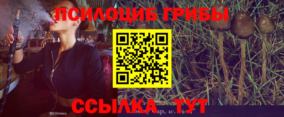 Галлюциногенные грибы мицелий Волжский