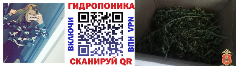 Бошки марихуана планчик Волжский